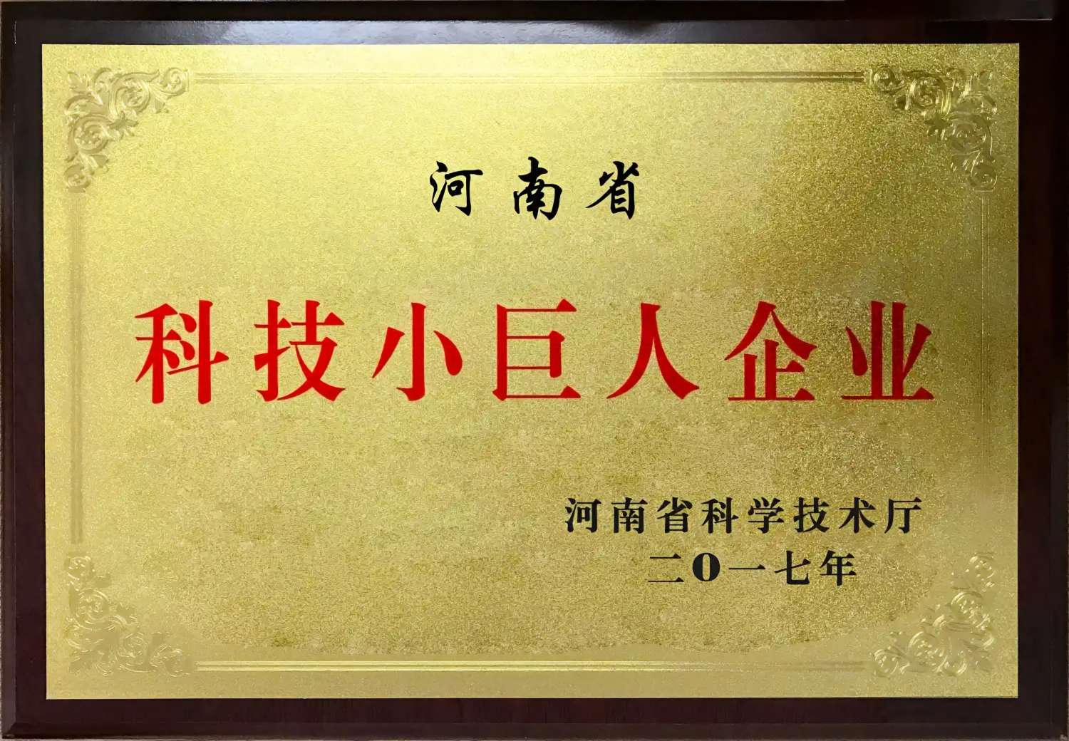 科技小巨人